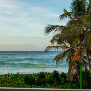 Beach Weddings Abroad Turtle Beach Barbados Weddings Ocean Front Junior Suite2