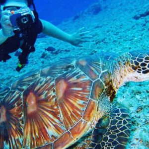 Beach Weddings Abroad OBLU NATURE Helengeli By SENTIDO Weddings Marine Life