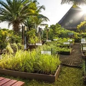 Beach Wedding Abroad The Oberoi Beach Resort, Mauritius Wedding The Herb Trail