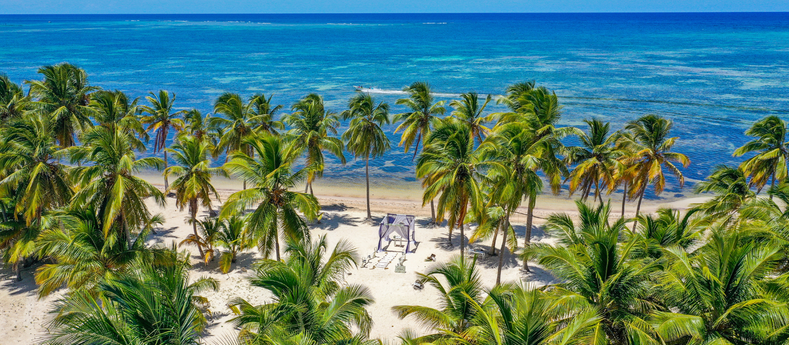 Say “I Do” Without The Price Tag Discover Free Destination Weddings 
